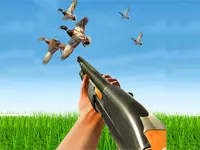 BIRD HUNTING Gun Fire Shooter image