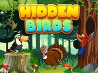 Hidden Birds image